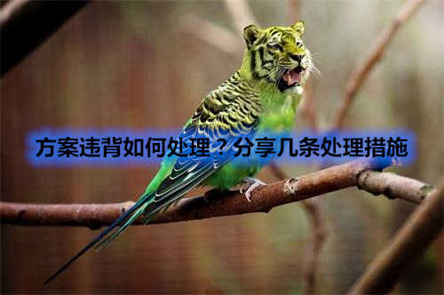 方案違背如何處理？分享幾條處理措施(圖1)