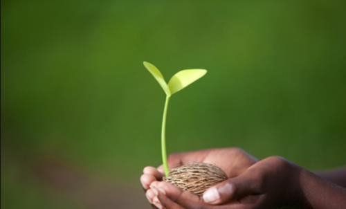 如何成為一名優秀的CRC?分享CRC快速成長秘籍(圖1) 如何成為一名優秀的CRC?分享CRC快速成長秘籍(圖1)