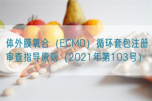 體外膜氧合(ECMO)循環(huán)套包注冊審查指導原則(2021年第103號)(圖1) 體外膜氧合(ECMO)循環(huán)套包注冊審查指導原則(2021年第103號)(圖1)