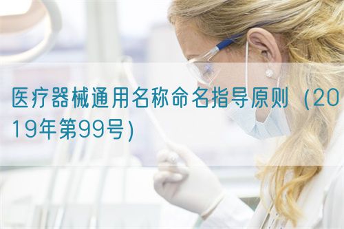 醫療器械通用名稱命名指導原則（2019年第99號）(圖1)
