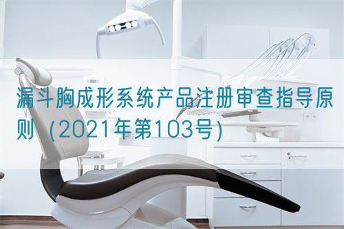 漏斗胸成形系統產品注冊審查指導原則（2021年第103號）(圖1)