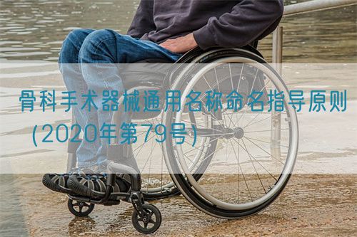 骨科手術器械通用名稱命名指導原則(2020年第79號)(圖1) 骨科手術器械通用名稱命名指導原則(2020年第79號)(圖1)