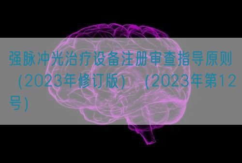 強脈沖光治療設備注冊審查指導原則（2023年修訂版）（2023年第12號）
