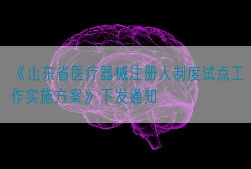 《山東省醫(yī)療器械注冊(cè)人制度試點(diǎn)工作實(shí)施方案》下發(fā)通知(圖1)