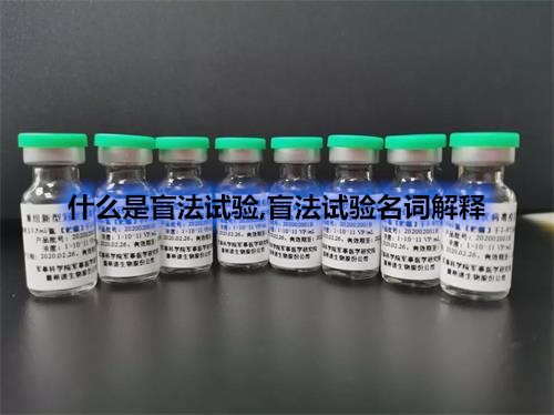 臨床試驗盲法試驗名詞解釋-什么情況下可以揭盲？