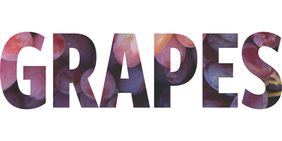 醫療器械經營許可證倉儲場地的要求(圖1) 醫療器械經營許可證倉儲場地的要求(圖1)