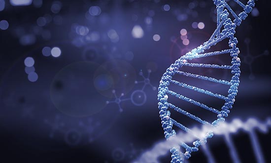 Ⅰ期臨床試驗 什么是Ⅰ期臨床研究?一文搞懂Ⅰ期臨床試驗全過程(圖3)