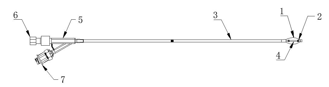 椎體成形球囊擴張導(dǎo)管注冊技術(shù)審查指導(dǎo)原則(2020年第31號)(圖2) 椎體成形球囊擴張導(dǎo)管注冊技術(shù)審查指導(dǎo)原則(2020年第31號)(圖2)